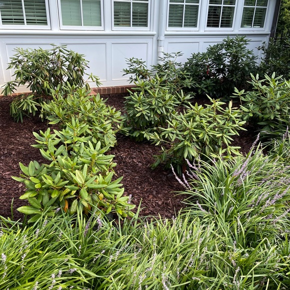 Lgsservices.org - Picture 4 of 16